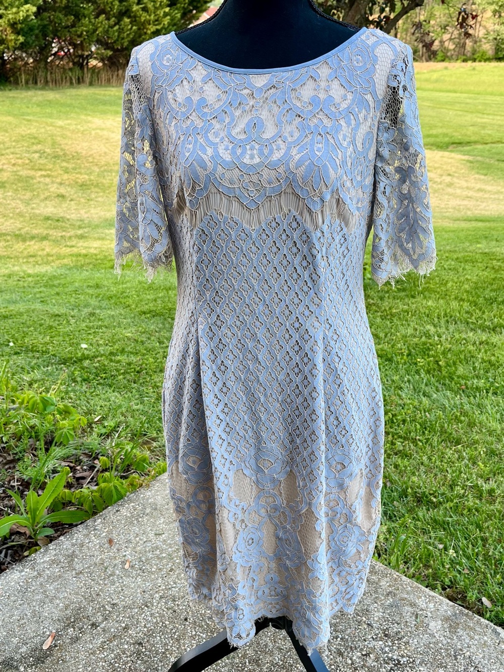 Adrianna Papell Georgia Lace Bell Sleeve Sheath Dress Sky Blue Beige Size 10